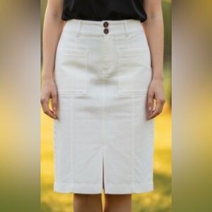 Cara Santana Women’s Chic Cream Paneled Pencil Skirt